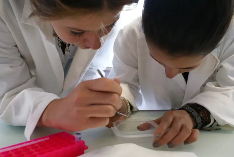 Biomolecules en mouvement