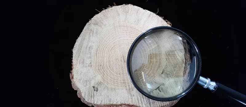 Les lacustres, entre mythe et archeologie