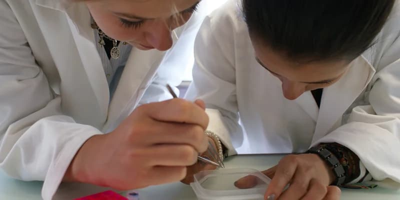 Biomolécules en mouvement