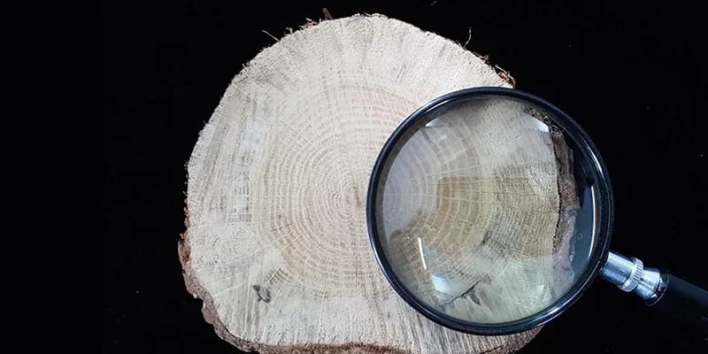 LES LACUSTRES, ENTRE MYTHE ET ARCHÉOLOGIE